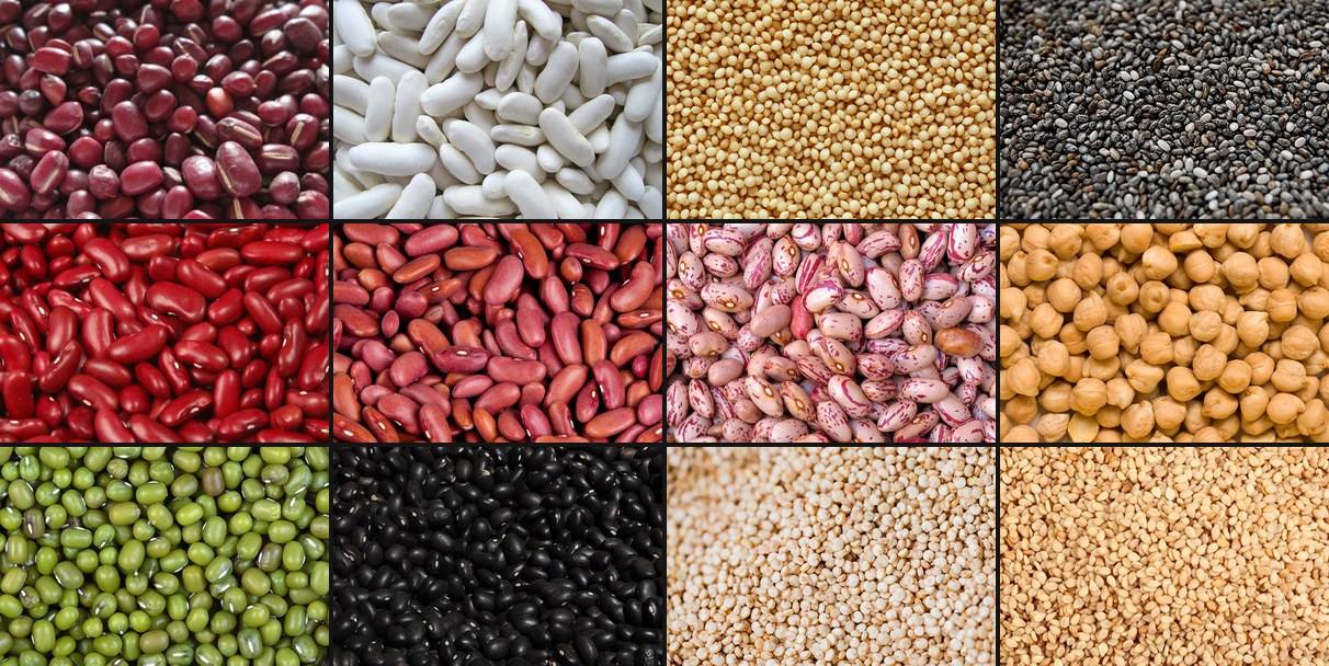 Productos DMC Agroindustrial