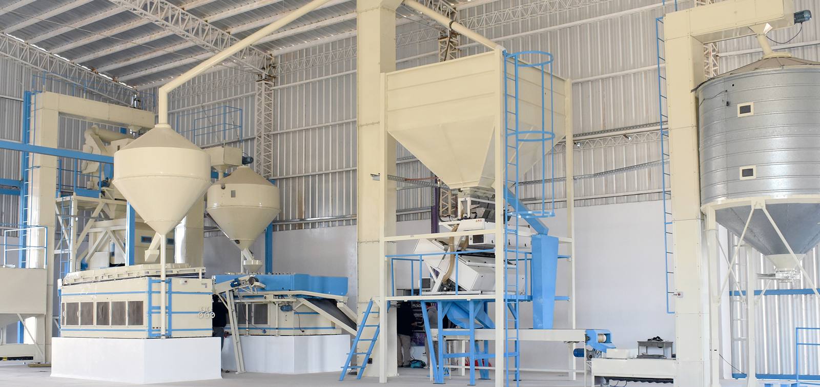 Planta DMC Agroindustrial